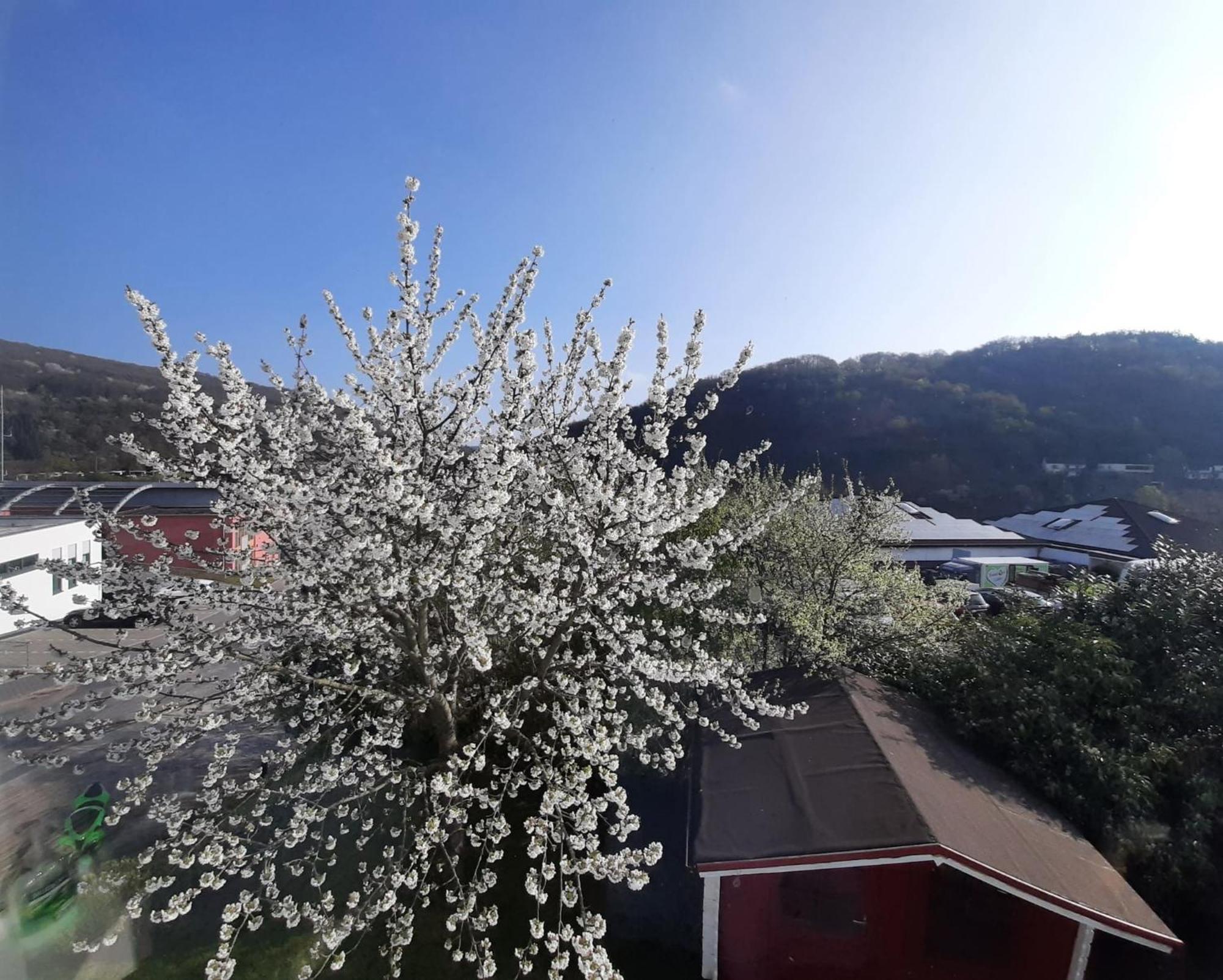 Ferienhaus Heimbach Bagian luar foto